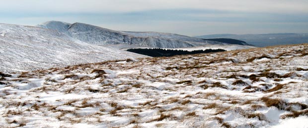 Crofthead from Fauldside Hill