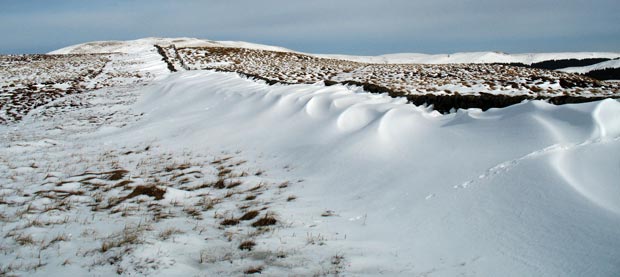 View from White Shank towards Bodesbeck Law