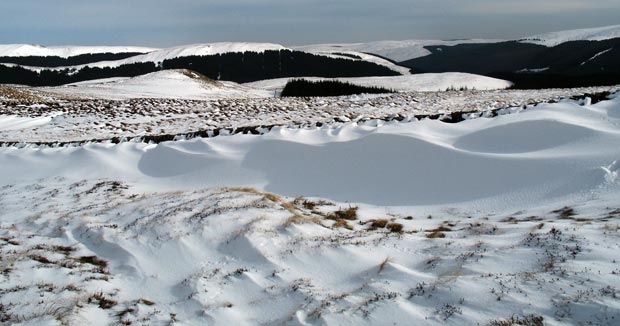 Looking towards the valley of Ettrick Water from White Shank