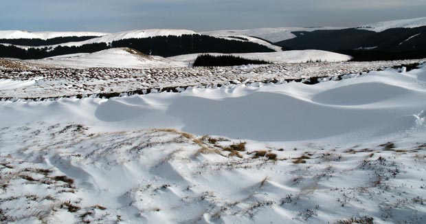 Looking towards the valley of Ettrick Water from White Shank