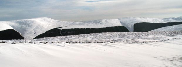 Ettrick Pen from White Shank