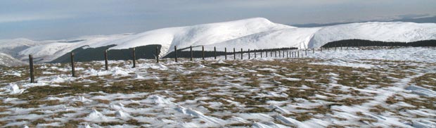 Ettrick Pen from the top of Capel Fell