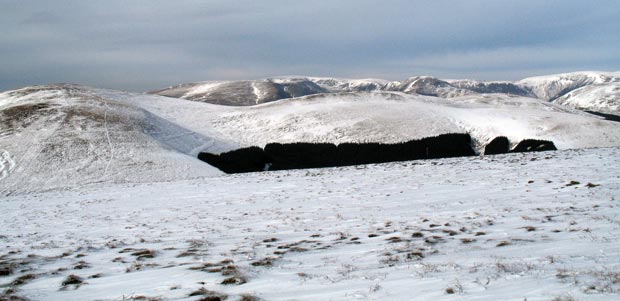 From Wind Fell looking over the White Shank-Smidhope-Capel Fell ridge to the Moffat Hills