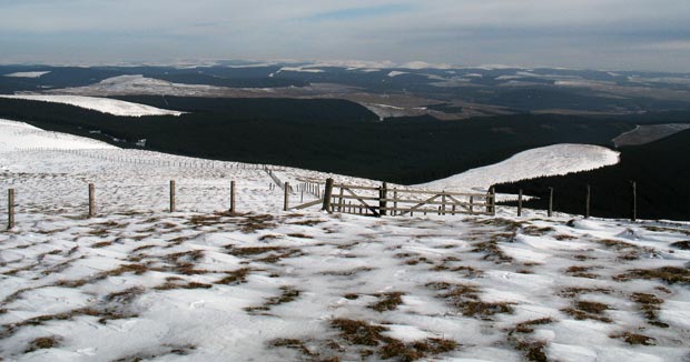 County Boundary fence running from Wind Fell towards Ettrick Pen with the Cheviots in the distance.