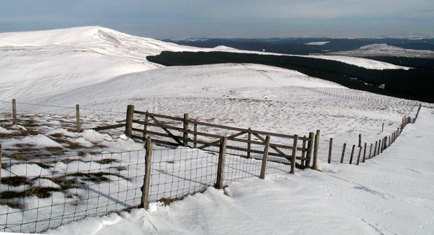 County Boundary fence running from Wind Fell towards Ettrick Pen.