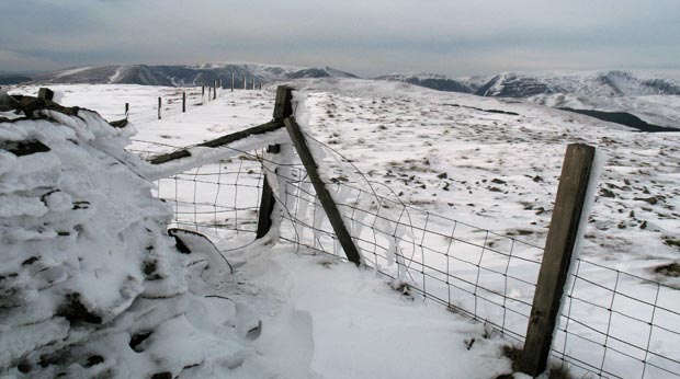 The Moffat Hills from the top of Ettrick Pen