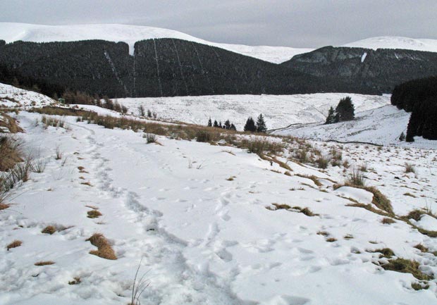 On the track for Capplegill looking back towards the valley of Ettrick Water.