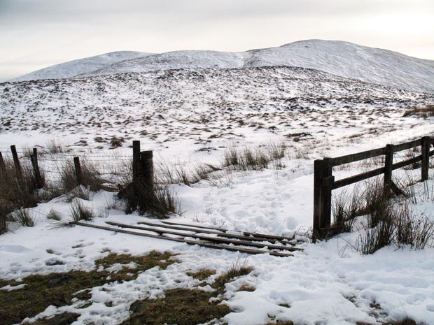 At the watershed between the valley of Ettrick Water and Moffat Water