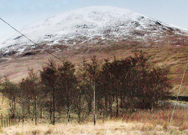 View from parking area to Bodesbeck Law