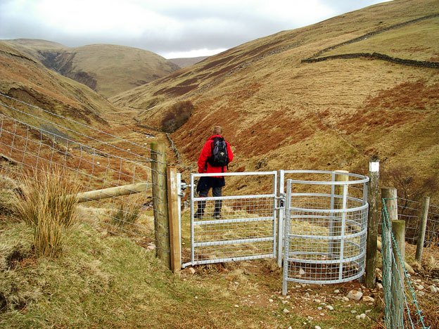 View of where to start descending to the Auchencat Burn.