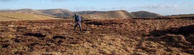 View from the top of Swatte Fell with White Coomb and Carrifran Gans in view behind Saddle Yoke.