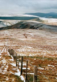 View from Whitehope Heights back to Annanhead