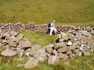 Sheep pen at the bottom of the gully