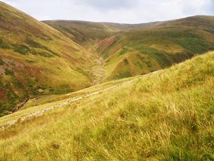 View of the meeting place of the Lochan Burn and Bill's Cleuch on the descent from Arthur's Seat