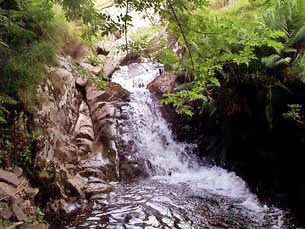 Waterfall in the hidden glen