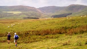 View of the route ahead to cross the River Annan near Ericstane