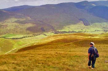 View heading down into Moffat Dale from Black Craig