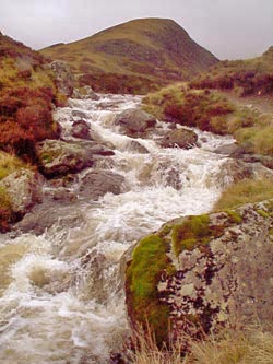 View of where the Tail Burn runs out of Loch Skene