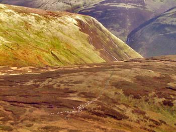 View down towards Moffat Dale while coming off White Coomb