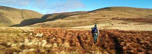 Moving up the ridge towards Swatte Fell