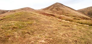 Double top of Birnock Cloves