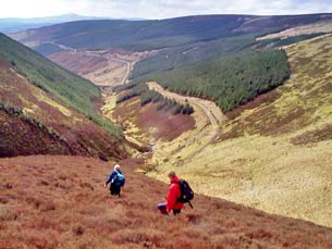 View of the vehicle track ahead from Birnock Cloves