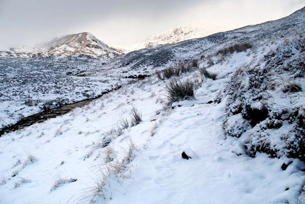 Mid Craig and Lochcraig Head from near the Tail Burn as we approach Loch Skene.