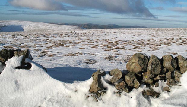 By the wall on the top of Lochcraig Head looking northwards towards Culter Fell.