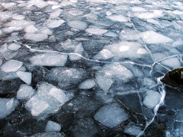 Detail of the ice.