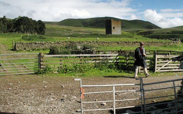 View of Dryhope Tower from Dryhope farm.