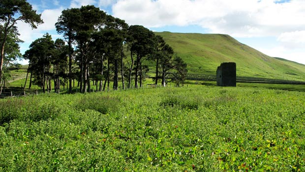 Looking back eastwards towards the Dryhope Tower