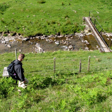 Where to cross the Kirkstead Burn just by Old Kirkstead.