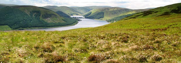 View of St Mary's Loch and the narrow strip of land which separates it from the Loch of the Lowes.