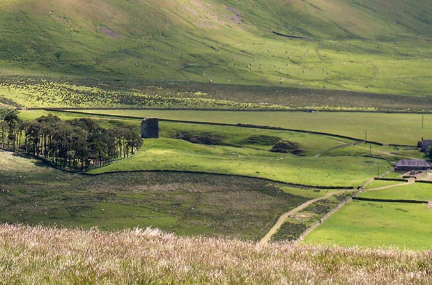 Looking back to the Dryhope tower from Kirkstead Hill.