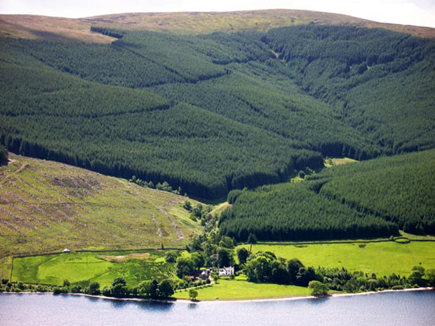 Looking south from Kirkstead Hill across St Mary's Loch to Bowerhope.