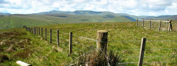 In the saddle between Capper Law and Henderland Hill.