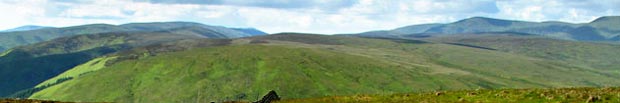 In the saddle between Capper Law and Henderland Hill. - detail