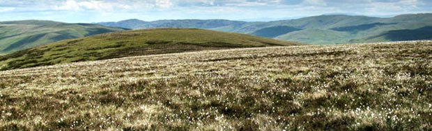 Looking east from Henderland Hill.