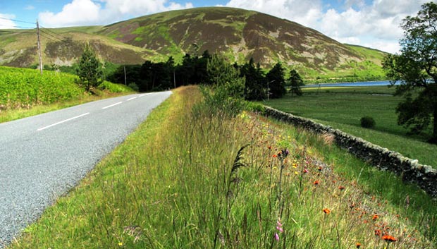 View back to Capper Law as we head for Tibbie Shiels Inn.