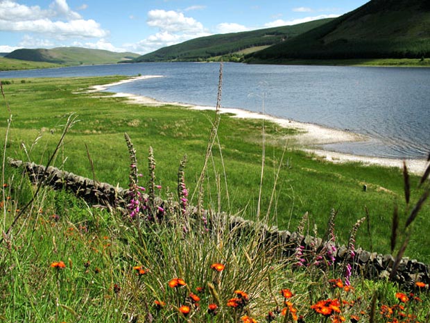 Looking east along St Mary's Loch back towards Dryhope.