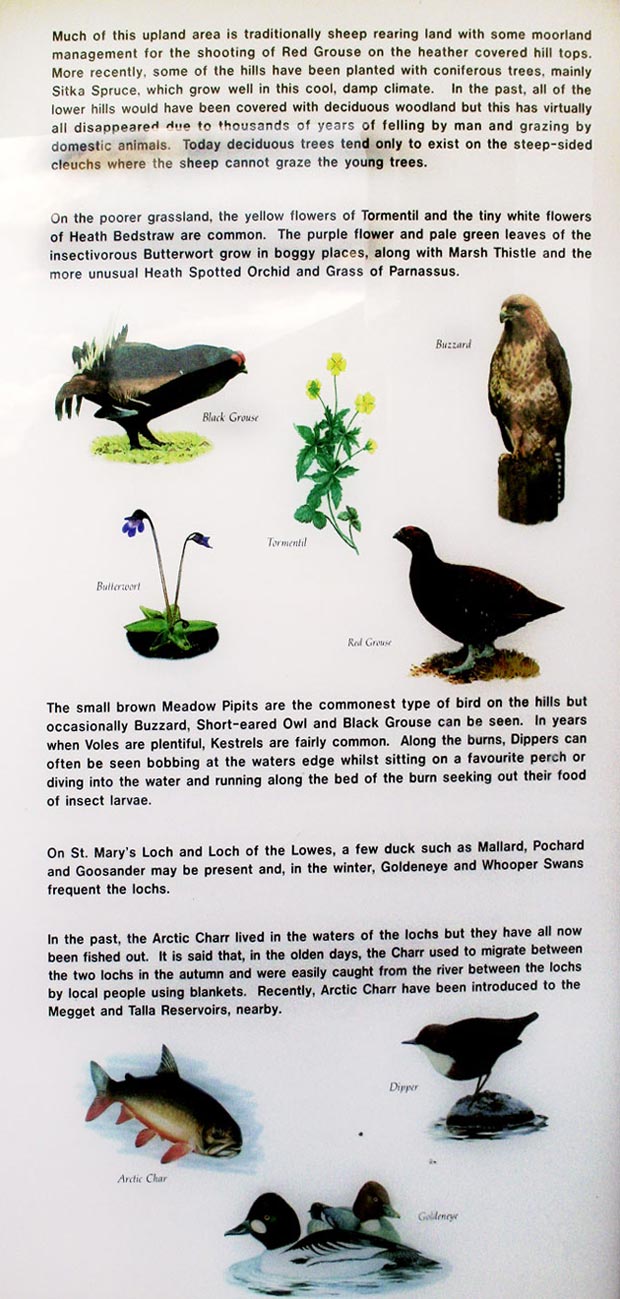 Details from the information board near Tibbie Shiels Inn about the Southern Upland Way - closer detail.