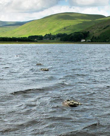 Sculpture in St Mary's Loch.