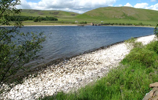 View of the east end of St Mary's Loch.