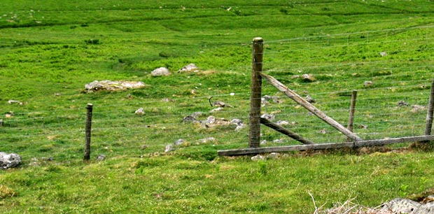 Where to get over the electric fence on Craig Head.