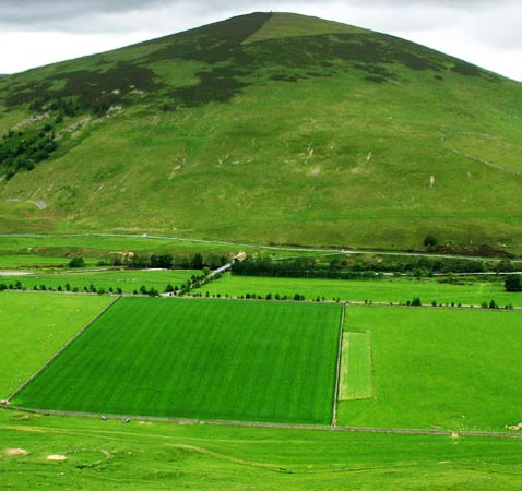 View across the Tweed valley to Worm Hill from Craig Head.