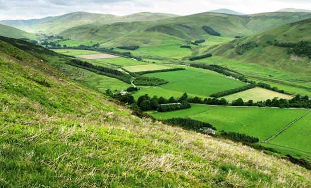 View looking south west towards the head waters of the Tweed from Craig Head.