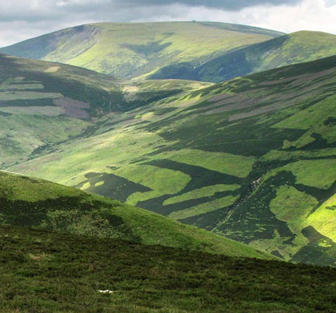 View of Broad Law from the ridge leading to Taberon from Craig Head.