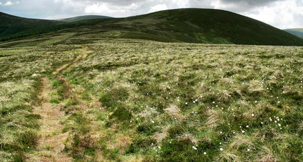 View towards Taberon Law on the way there from Craig Head.