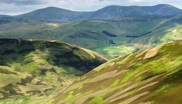 View looking down the valley of the Stanhope Burn from Taberon Law.