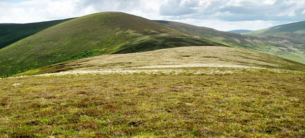 View ahead to Middle Hill from Taberon Law.